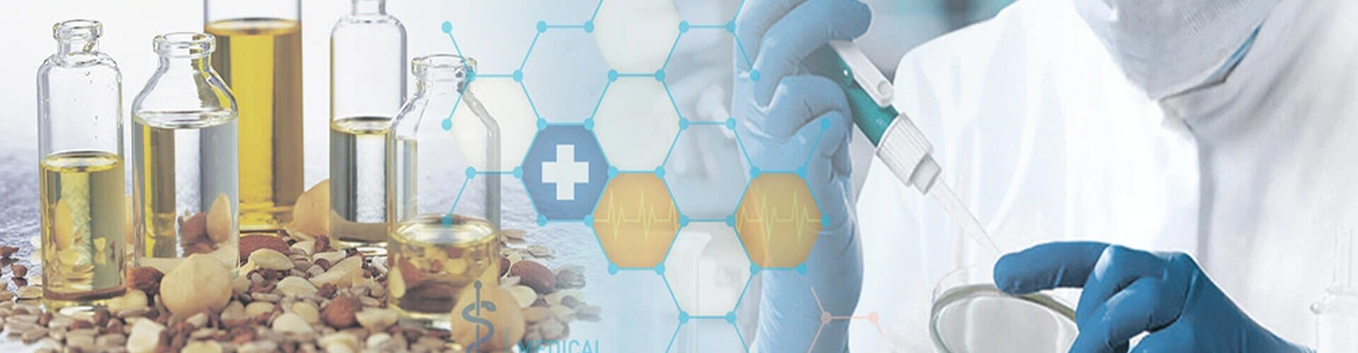 Ascent Petrochem Holdings Co., Limited