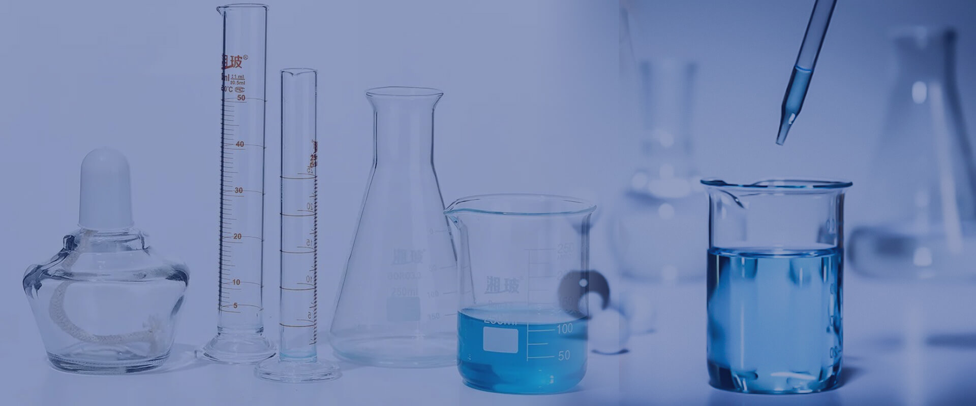 Ascent Petrochem Holdings Co., Limited